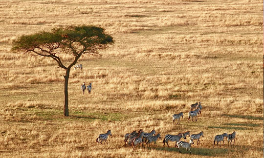 On the hot air balloon Tanzania