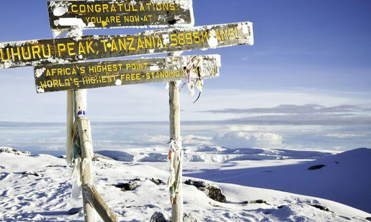 Snowfall Uhuru Peak Point Mweka Kilimanjaro Tanzania