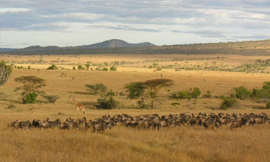 northern serengeti area Tanzania