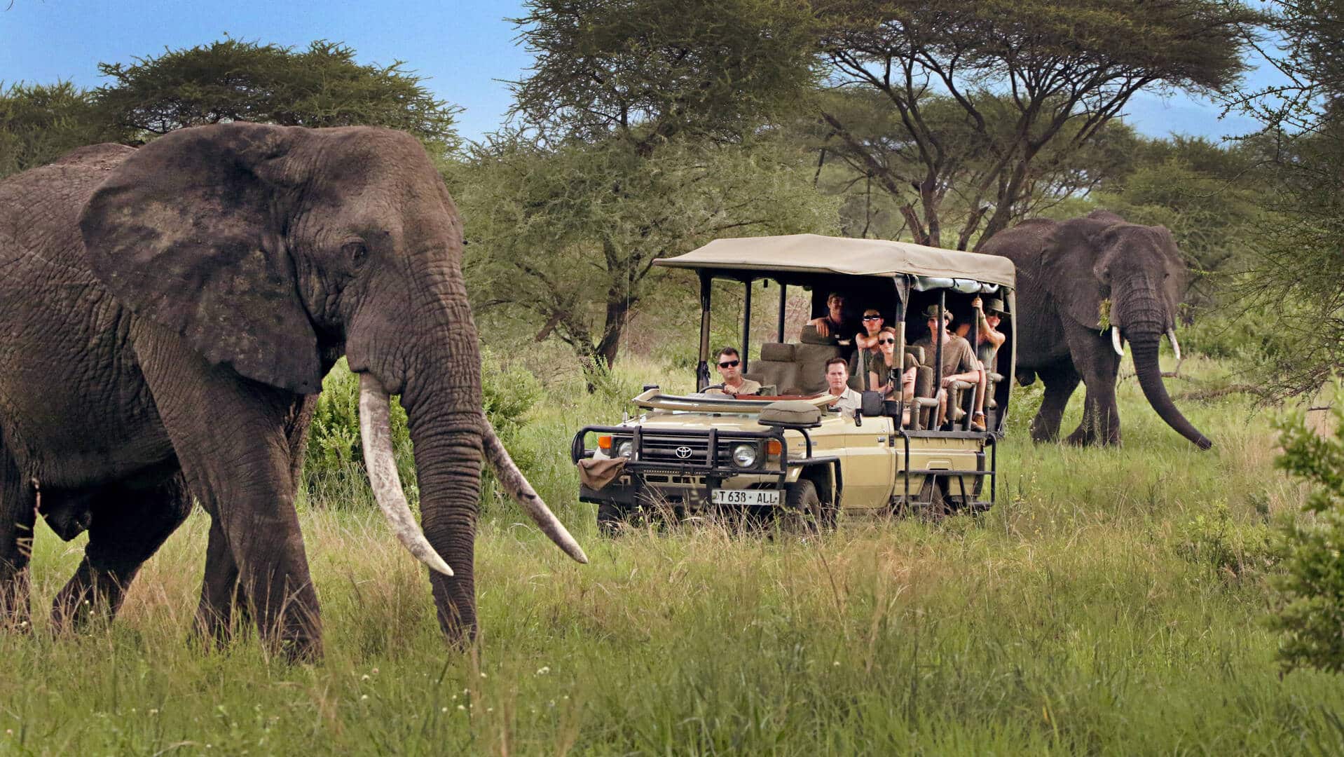 The Serengeti National Park