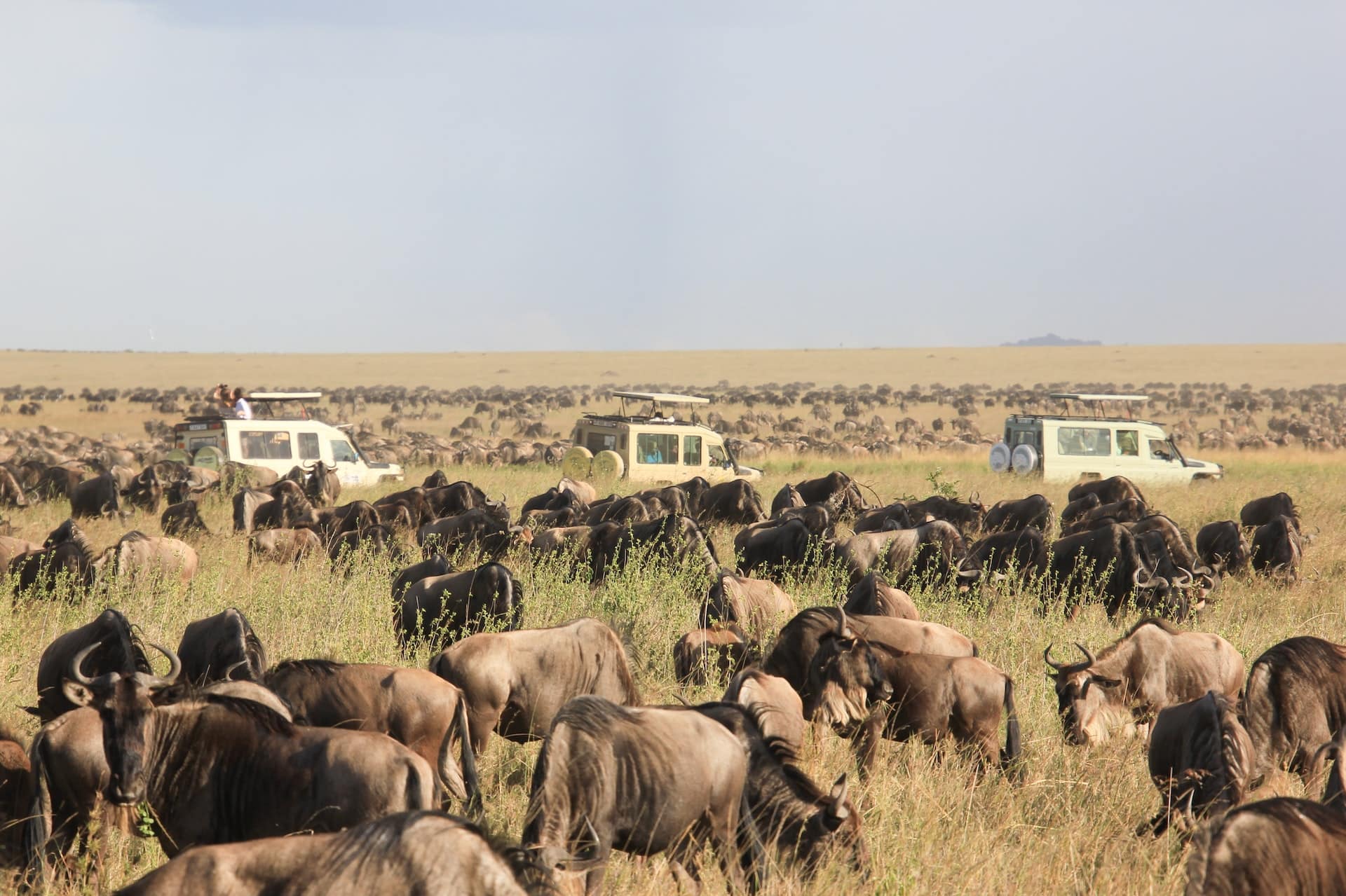 The Serengeti National Park