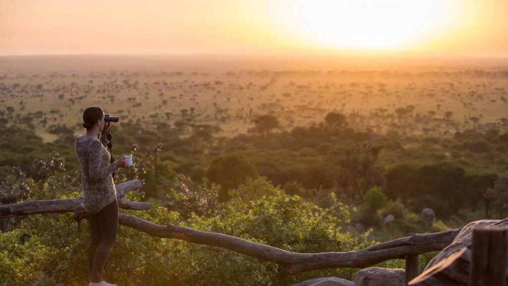 African Rooftop Expeditions Pioneers in Safari Tourism