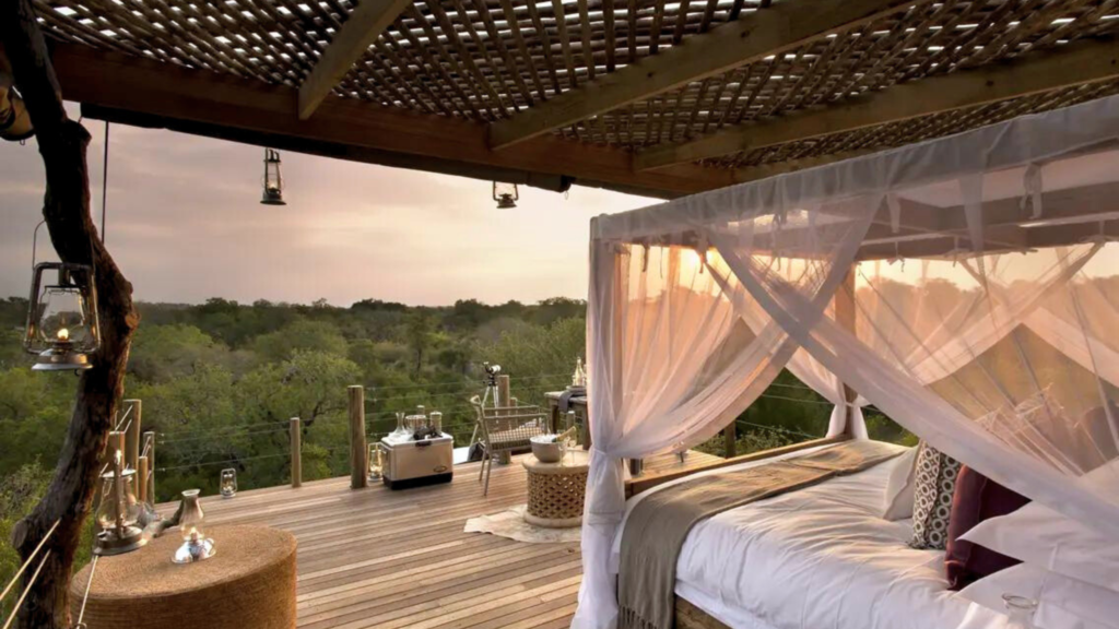 Luxury Africa Safari