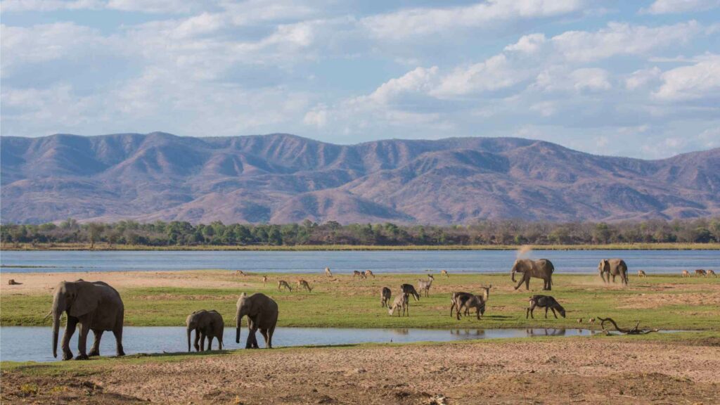 Mana Pools National Park - Zimbabwe