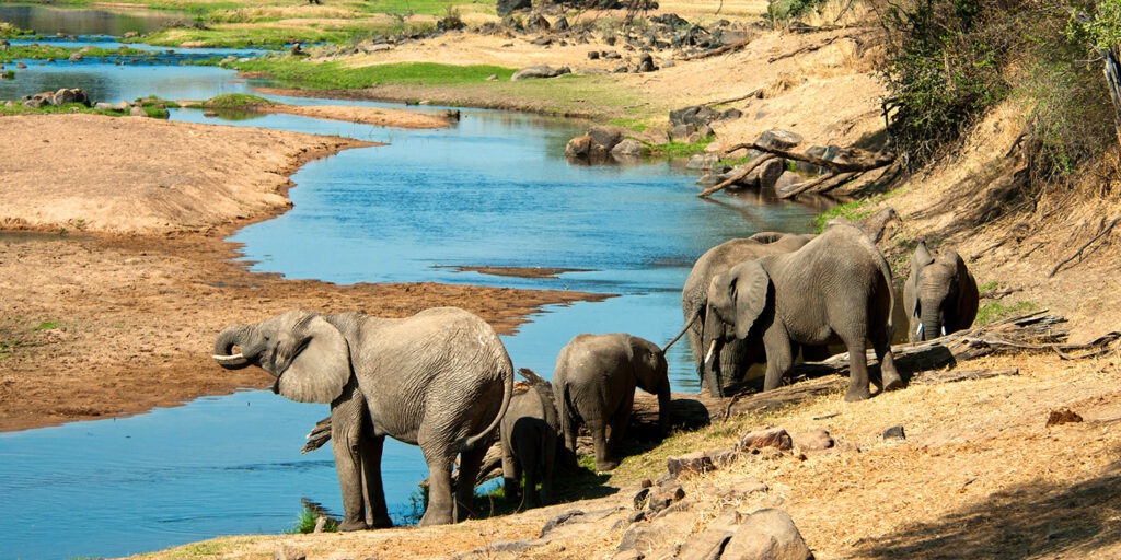 Best Safaris