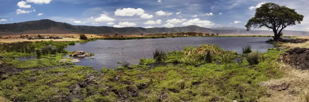 Ngorongoro Crater