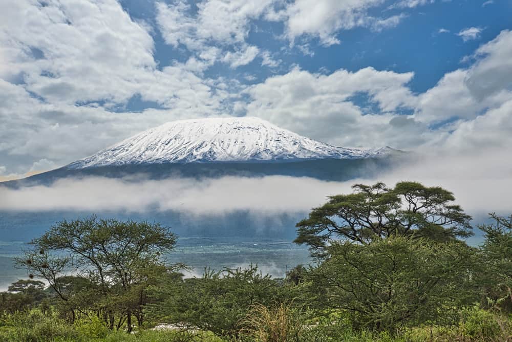 kilimanjaro