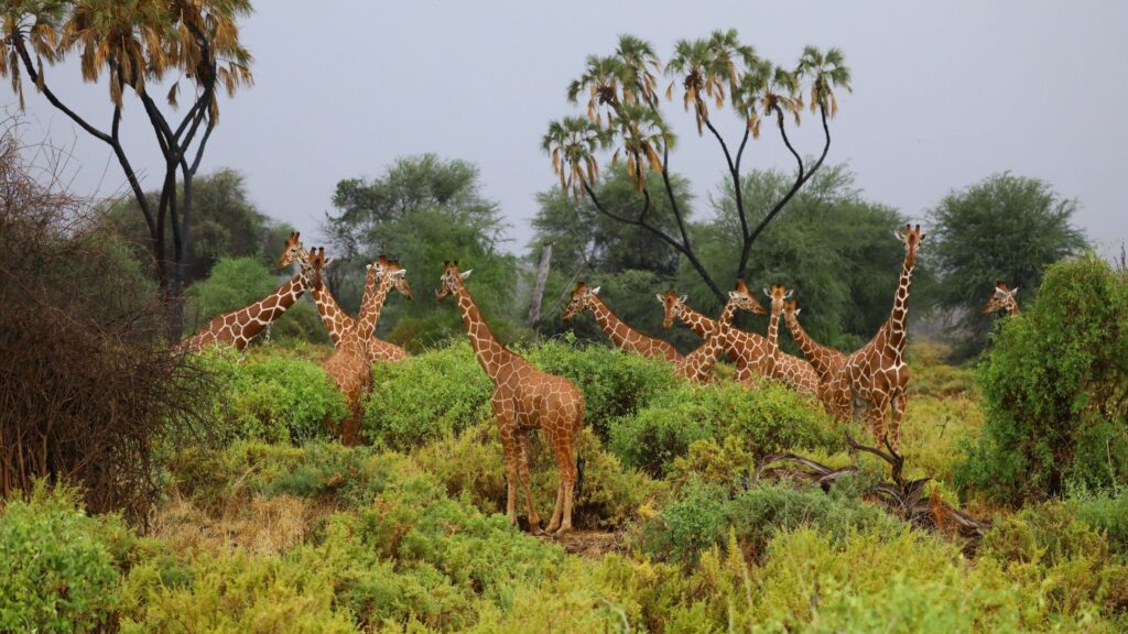 Arusha National Park