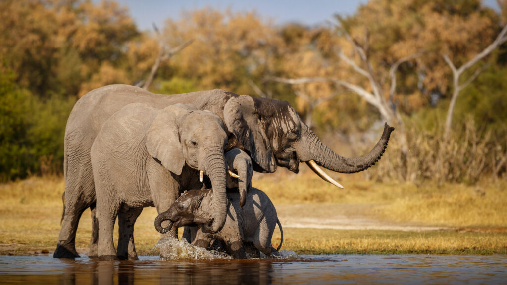 Ngorongoro Conservation Area