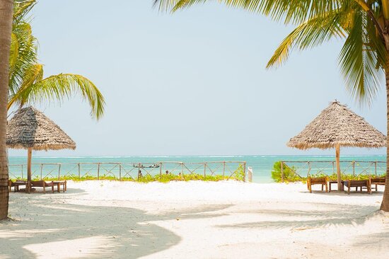 Best Beaches in Zanzibar,Kiwengwa Beach