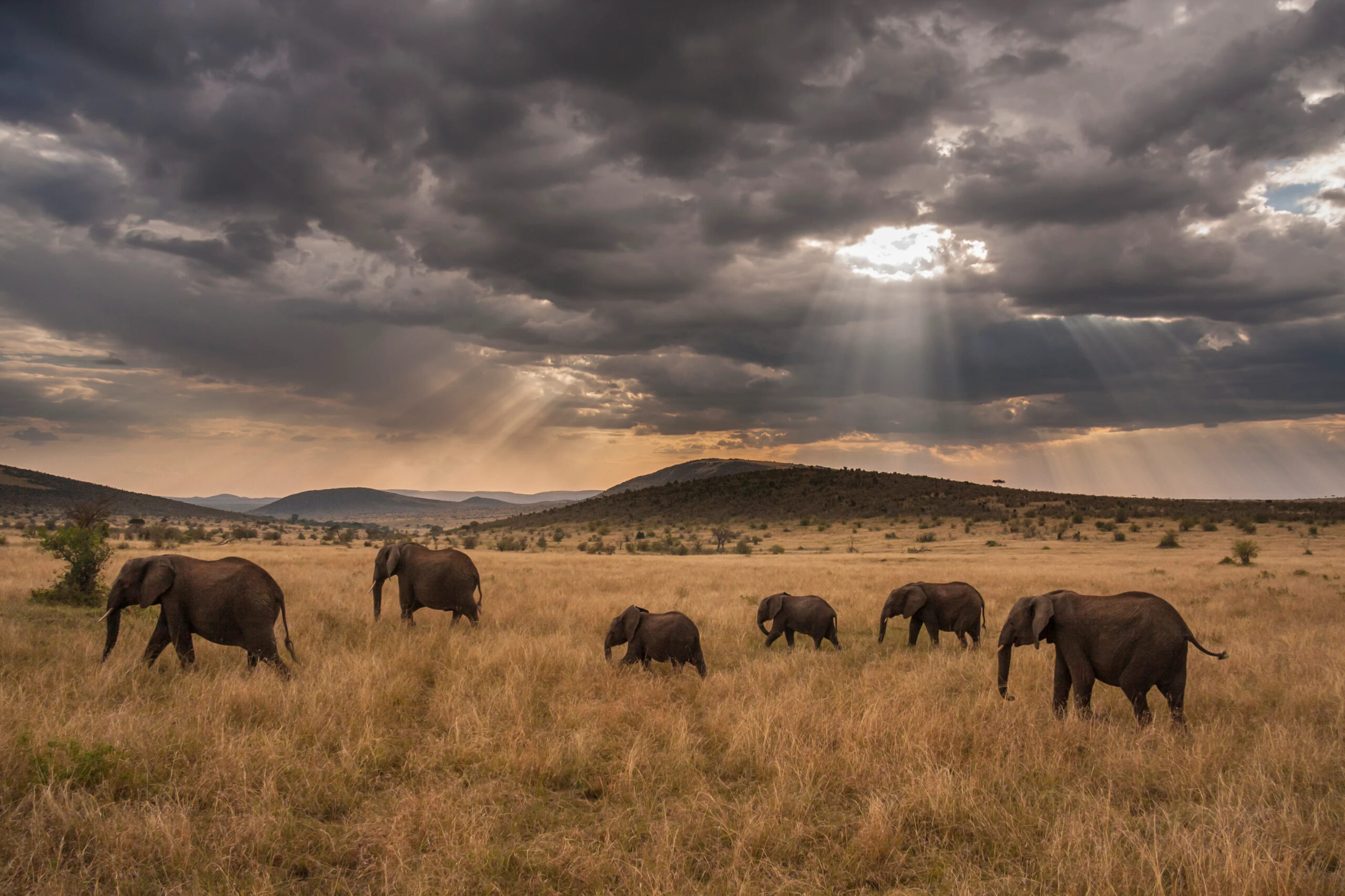 The Serengeti National Park