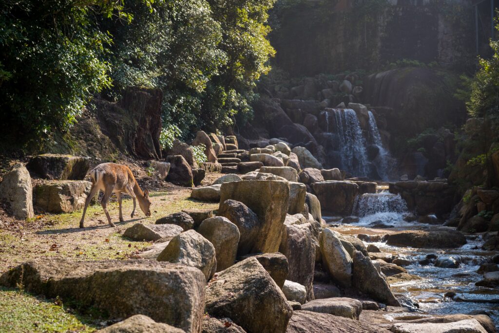 Serengeti National Park