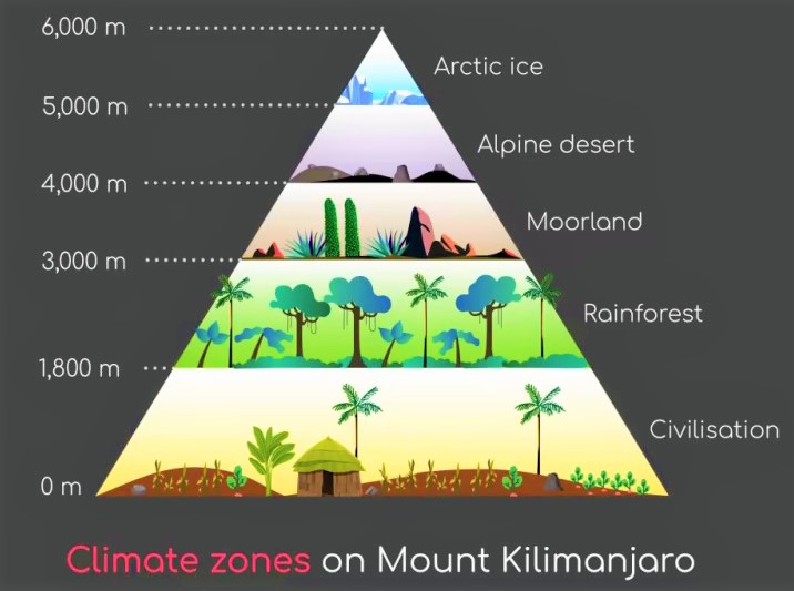 Climate Zones Mount Kilimanjaro 