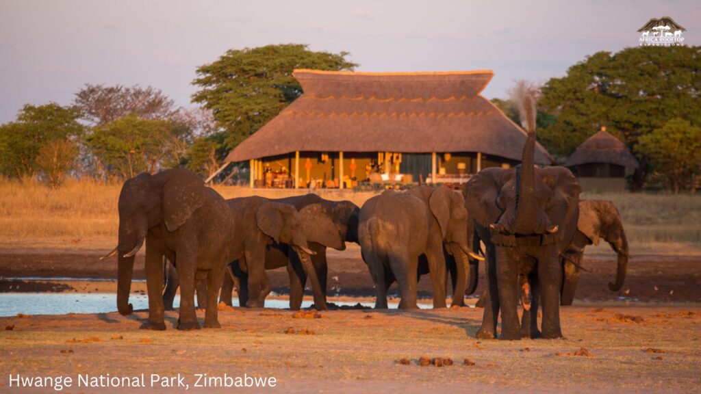 Hwange National Park, Zimbabwe