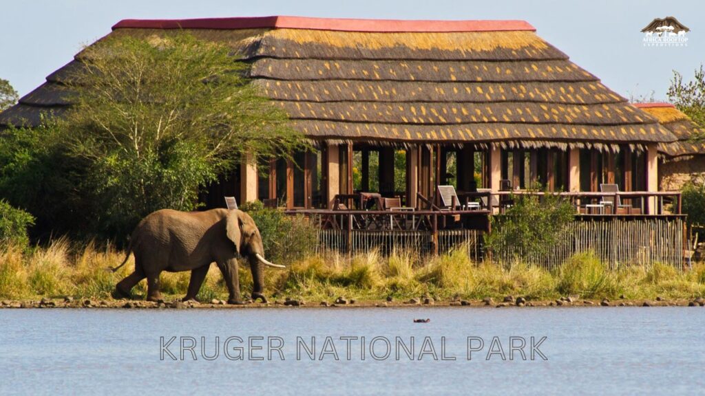 Best Safari In South Africa