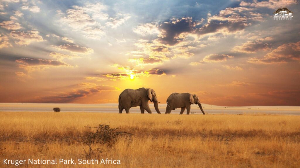 Kruger National Park, South Africa