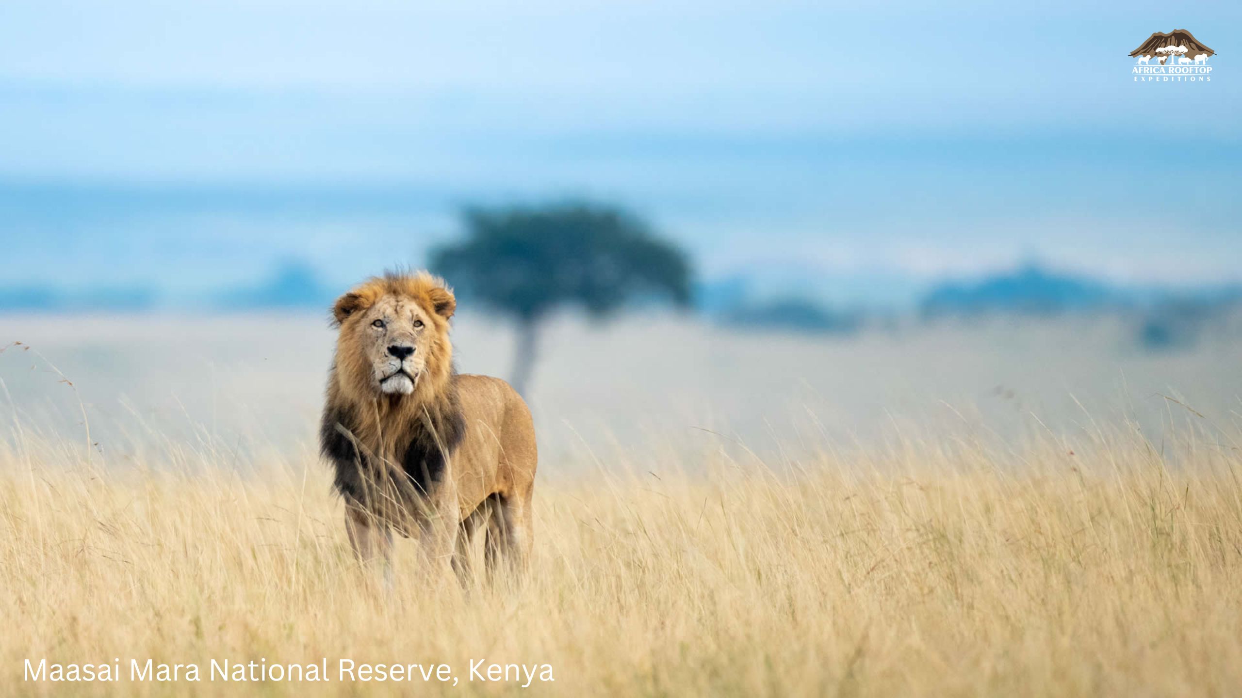 Maasai Mara National Reserve