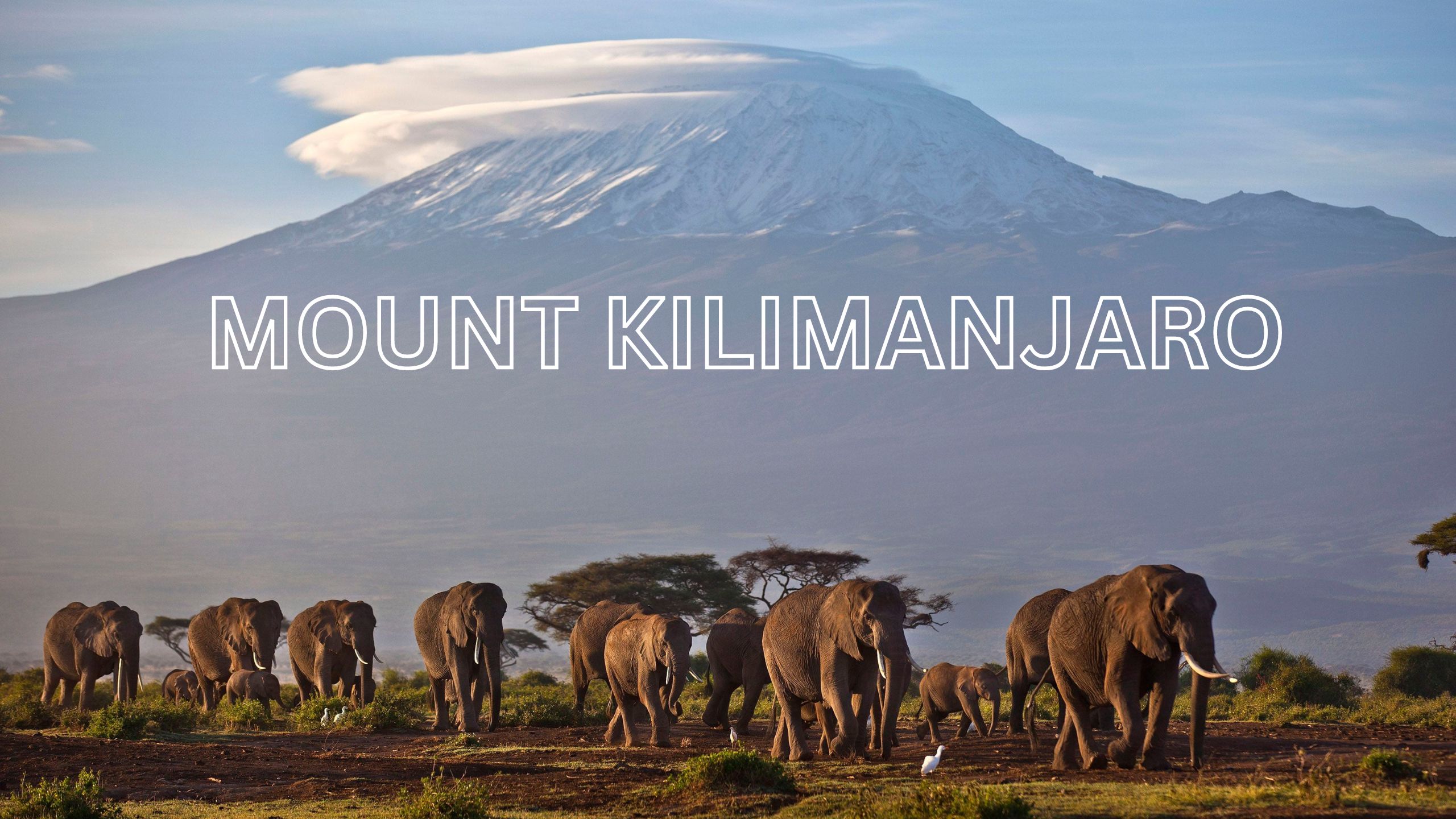 Mount Kilimanjaro The Rooftop of Africa in 2023