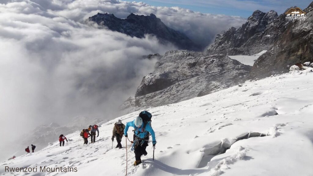 Rwenzori Mountains, the top of africa
