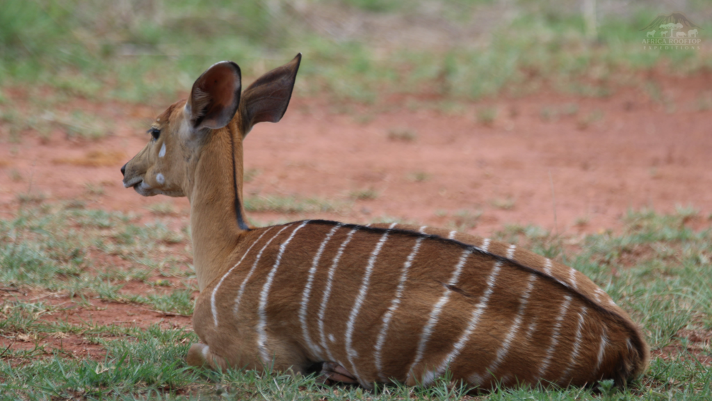 Serengeti National Park