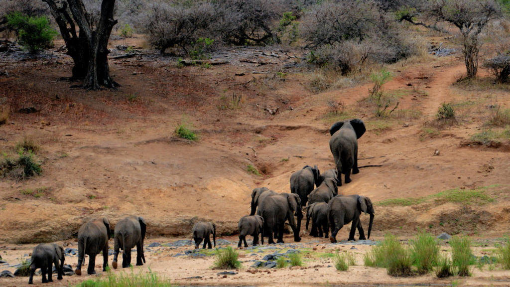 Serengeti National Park