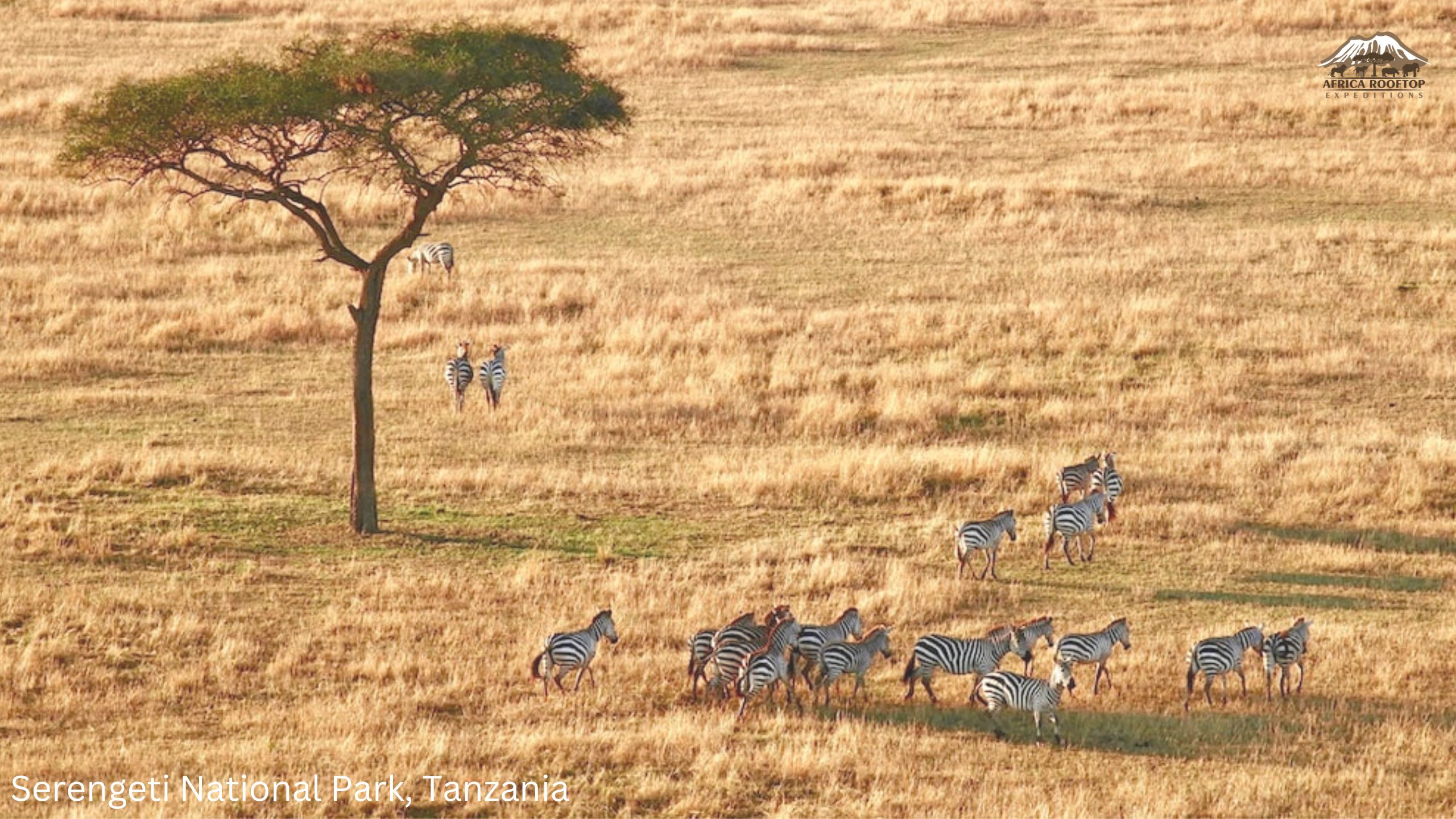 Serengeti National Park, Tanzania