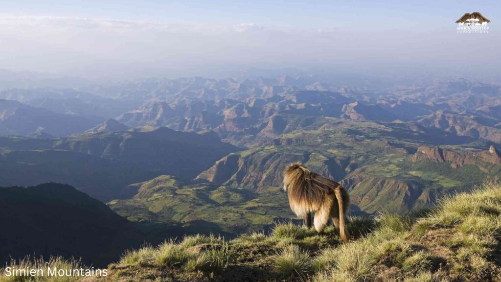 Simien Mountains, the top of africa