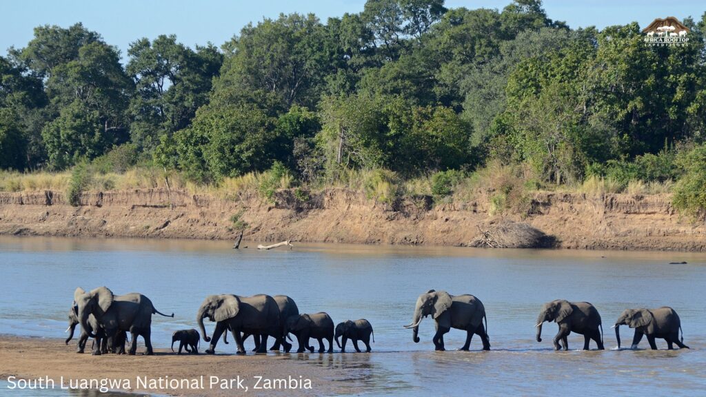 South Luangwa National Park, Zambia