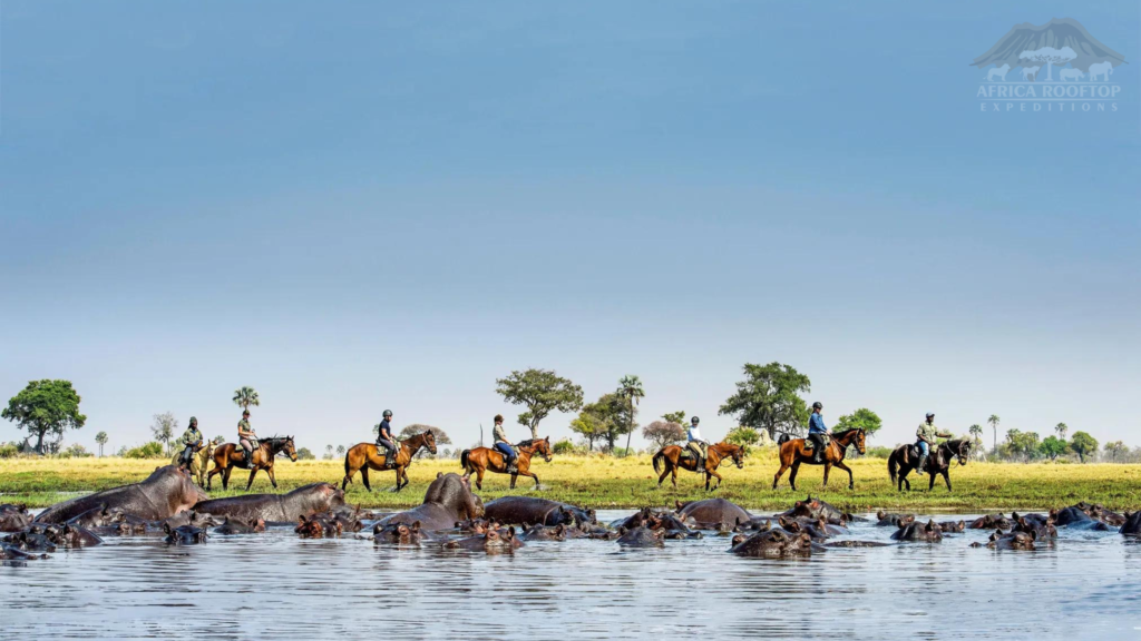 Tourism Activities Botswana Okavango Delta Safari