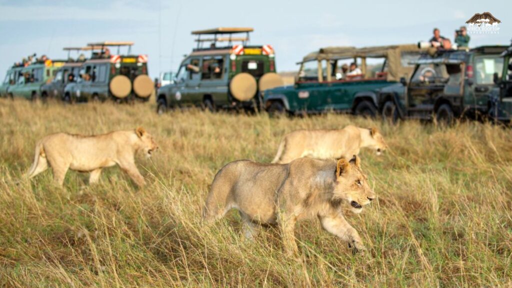 Maasai Mara National Reserve