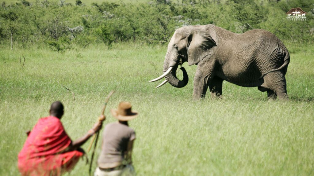 Maasai Mara National Reserve