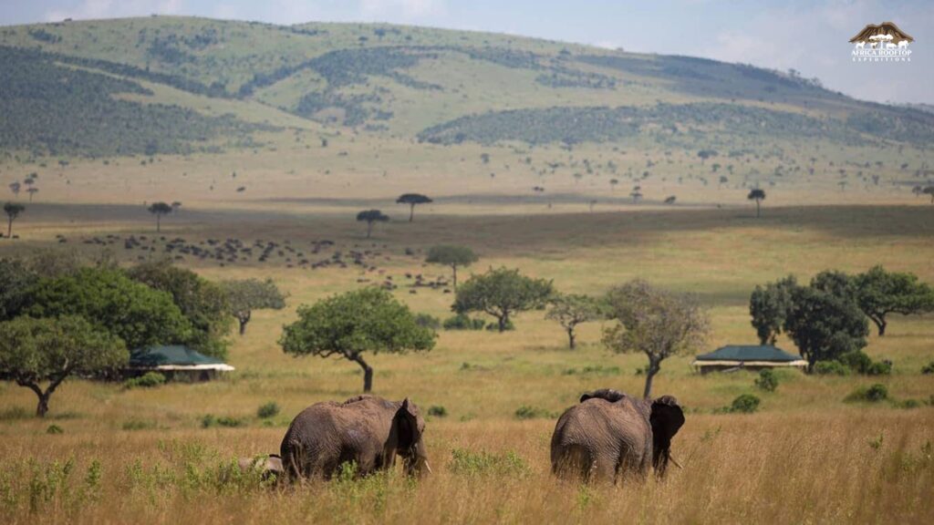 Maasai Mara National Reserve