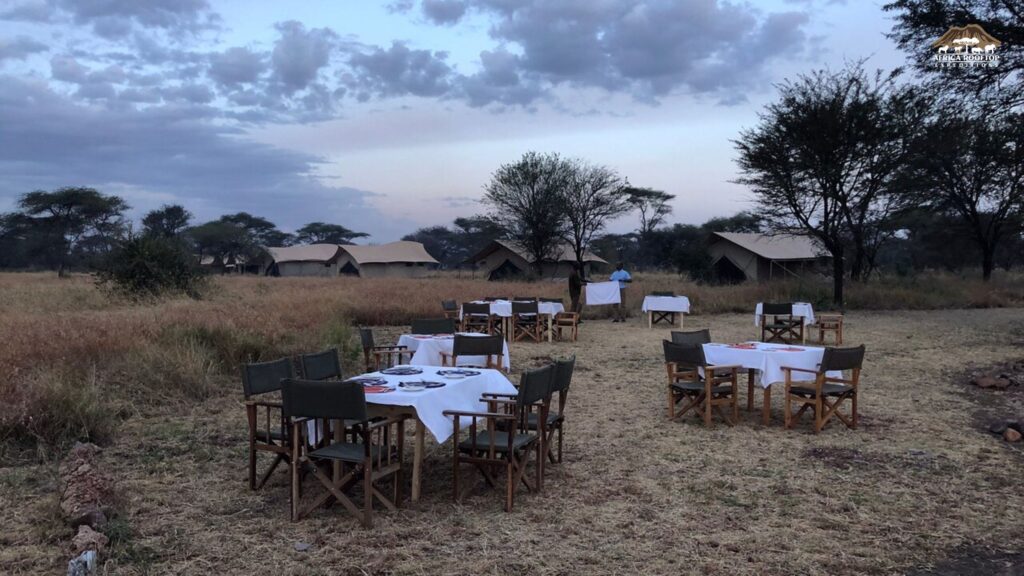 Accommodations Pamoja Migration Camp
