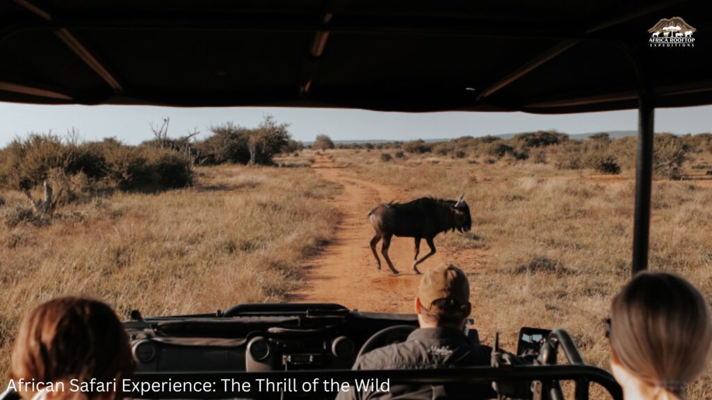 African Safari Experience The Thrill of the Wild