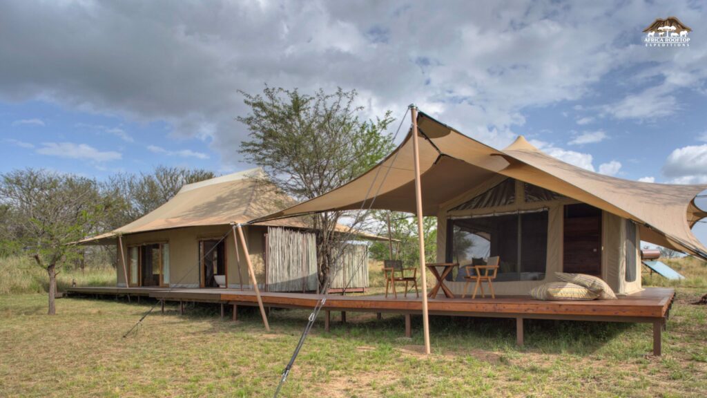 Best Time to Visit Pamoja Migration Camp