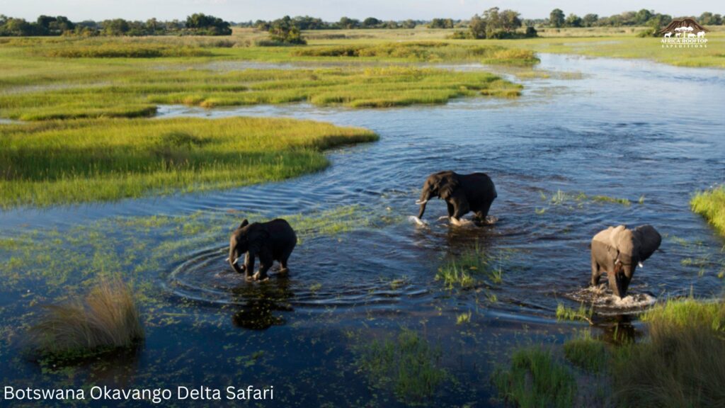 Botswana Okavango Delta Safari