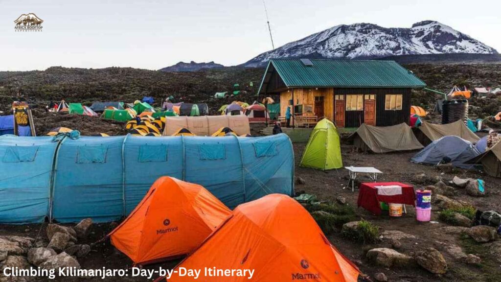 Climbing Kilimanjaro Day-by-Day Itinerary