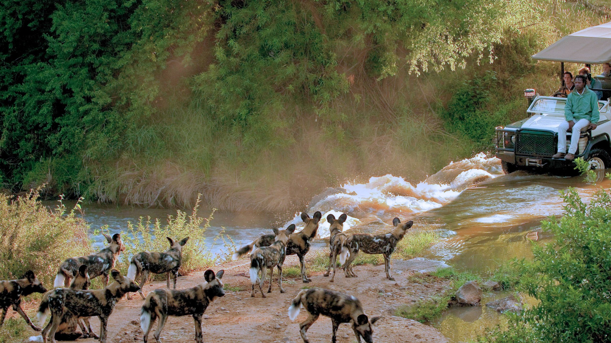 Kruger National Park