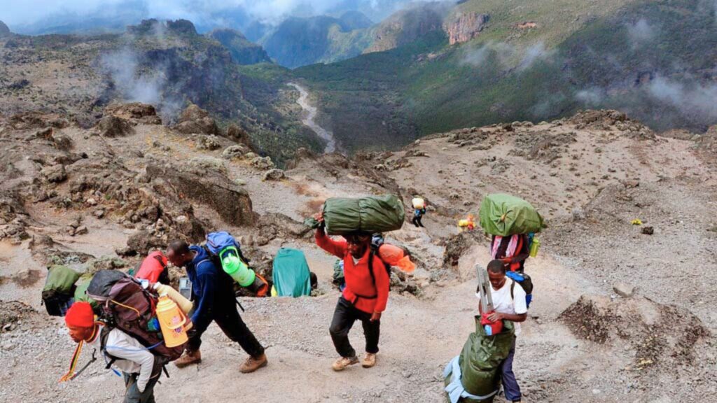 Lemoso Kilimanjaro Routes,The Lemosho Routes