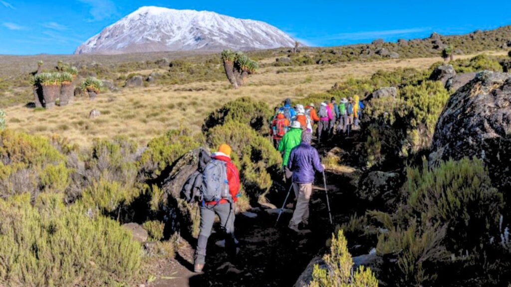 Machame Kilimanjaro Routes