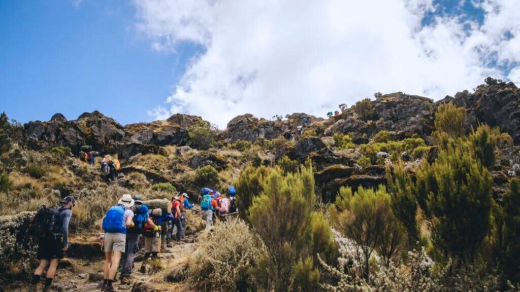 Machame Routes