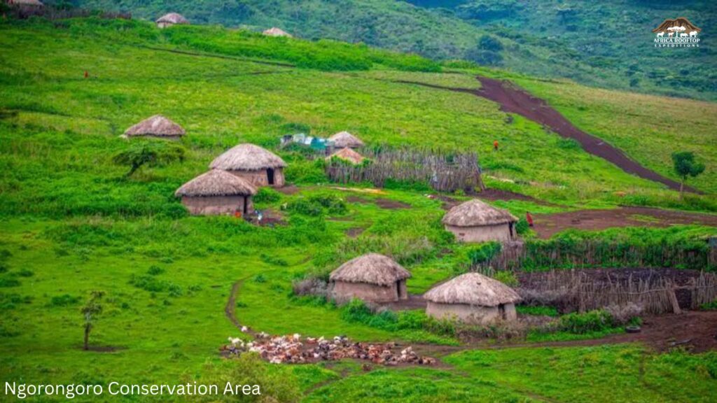 Ngorongoro Conservation Area