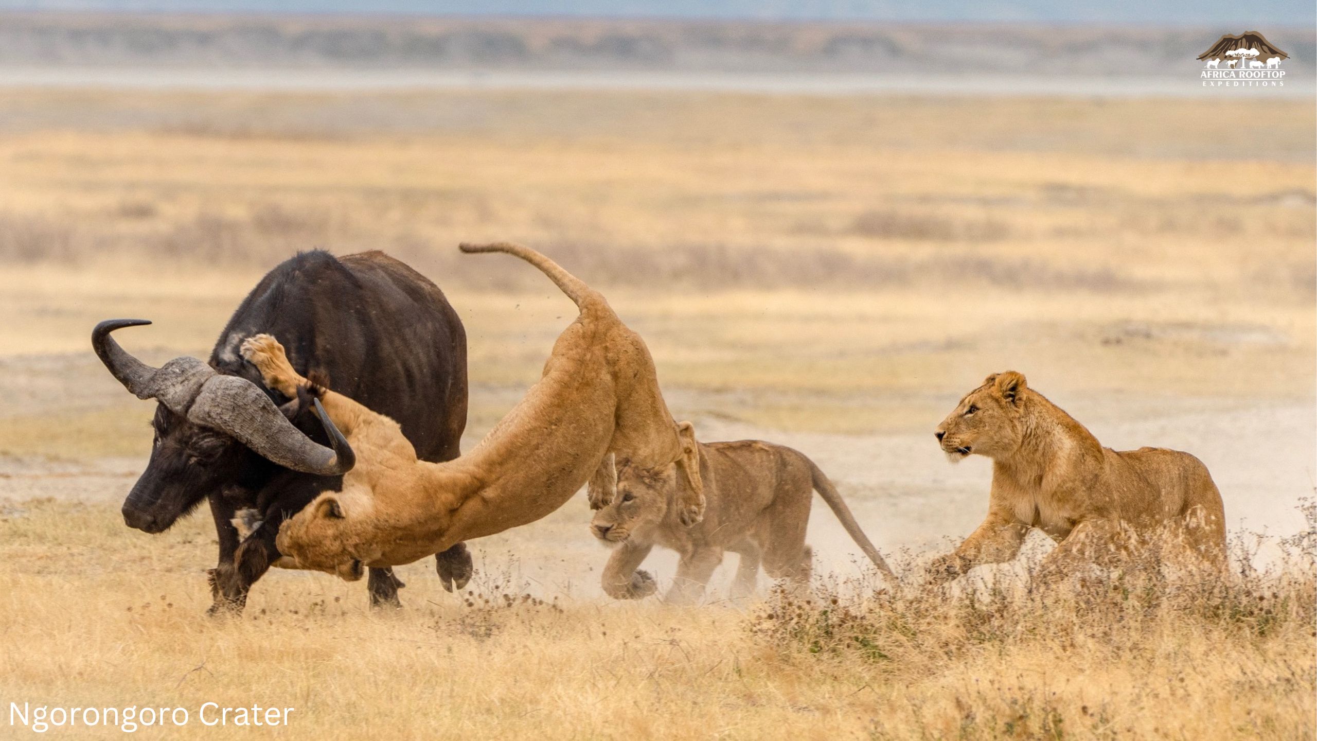 Ngorongoro Crater