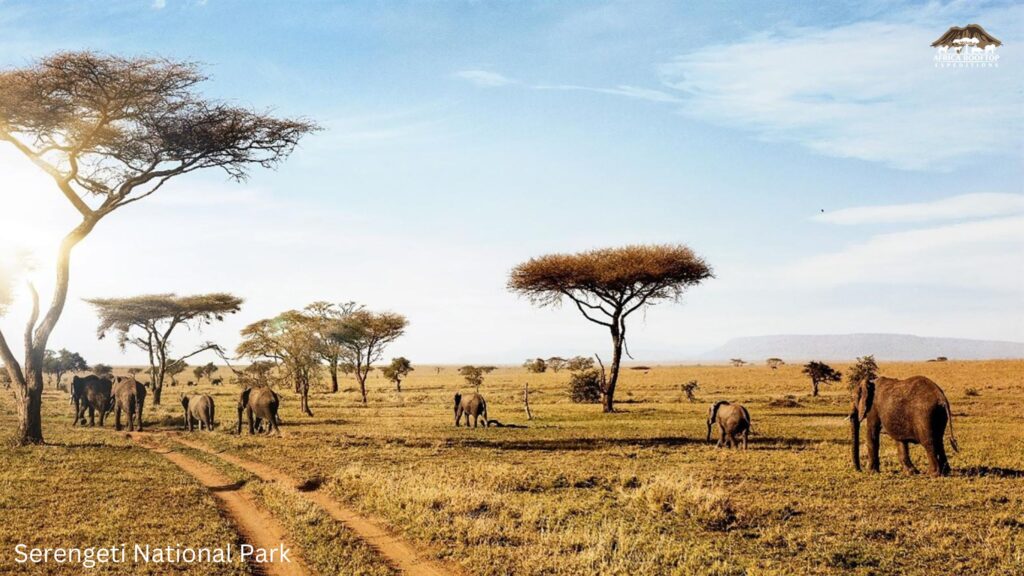 Serengeti National Park