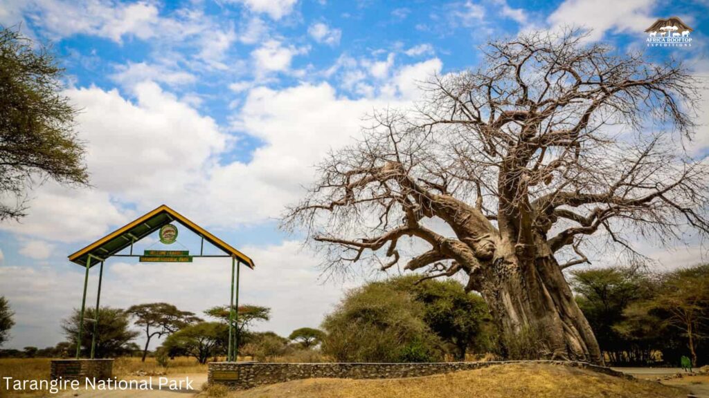 Tarangire National Park