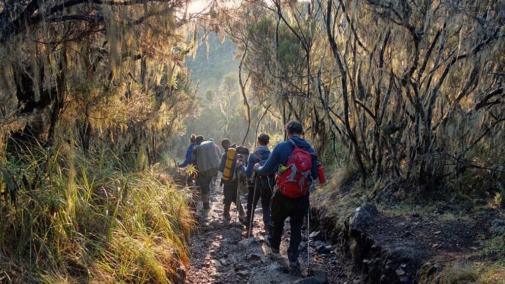 The Machame Routes