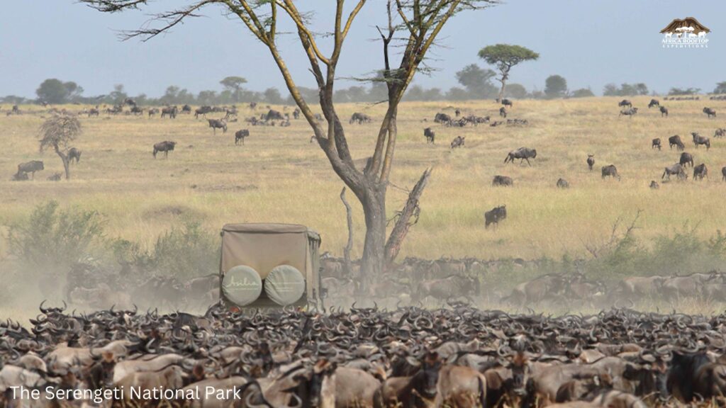 The Serengeti National Park