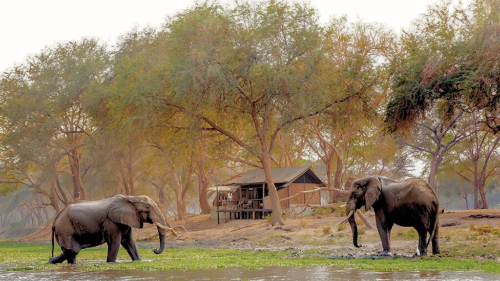 Zambia, Vic Falls, and Zimbabwe Private Guided Tours,BEST AFRICAN SAFARI TOURS