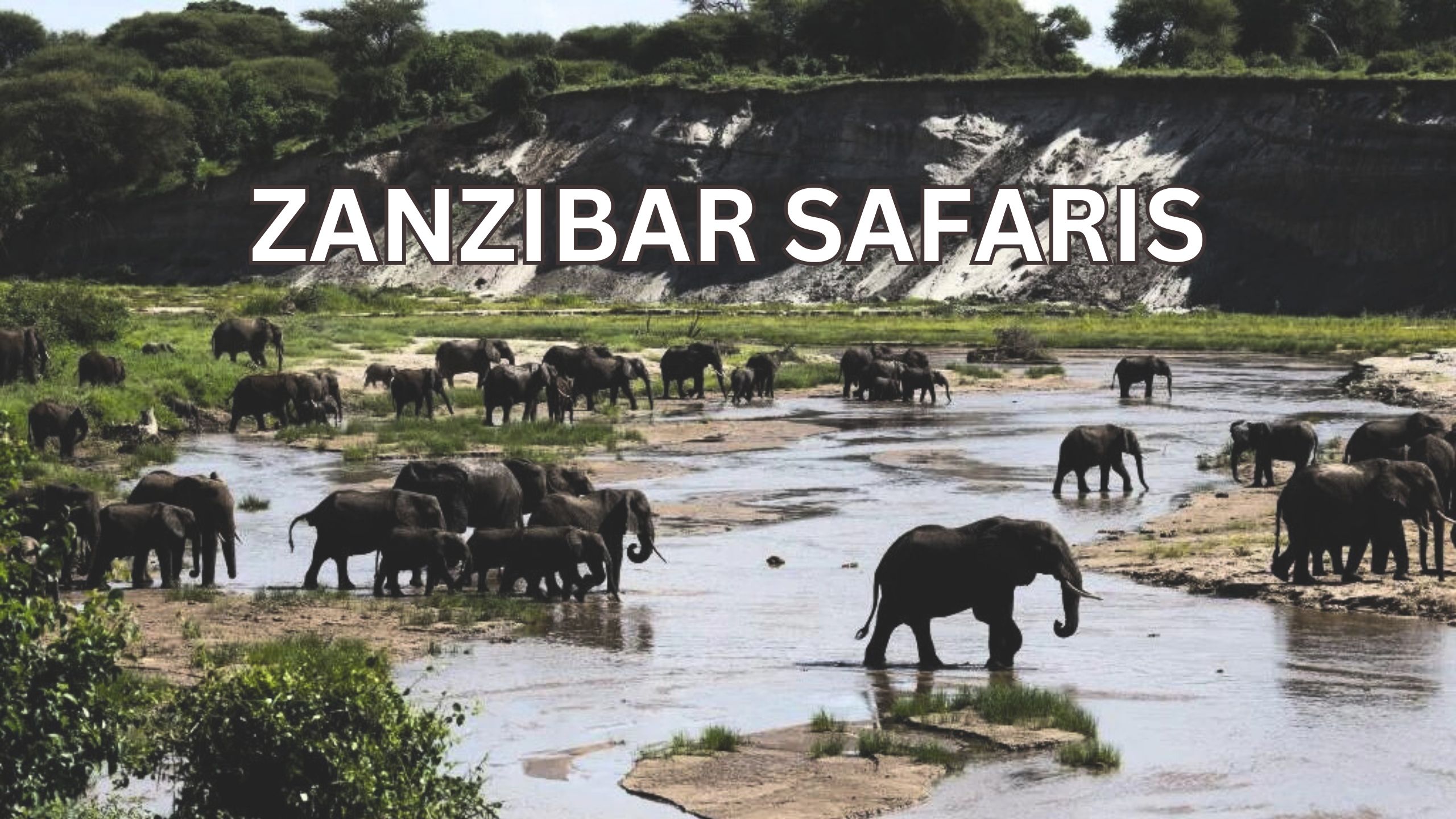 Zanzibar Safari Rooftop of Africa - Exploring the Wild Beauty in 2023