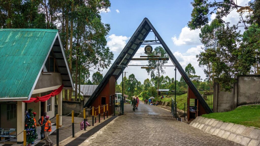 climb Kilimanjaro